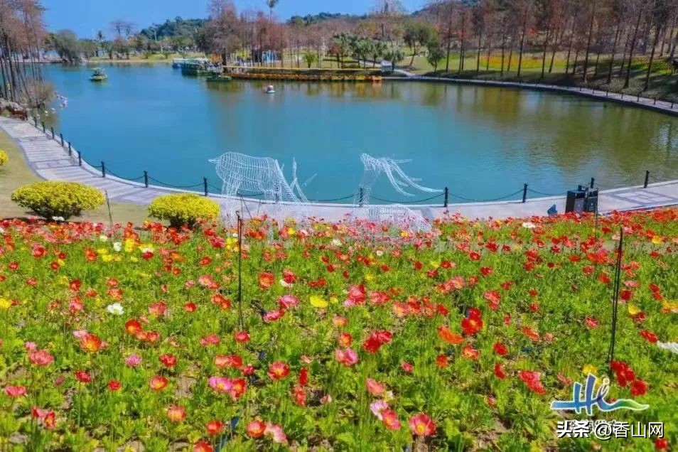 珠海景区最新免费景点推荐,珠海旅游攻略免费景点大全