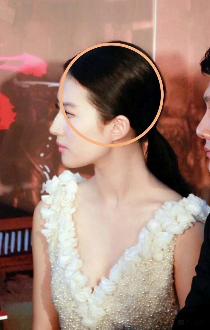 画虎画皮难画骨你知道吗,画虎画皮难画骨是怎么来的