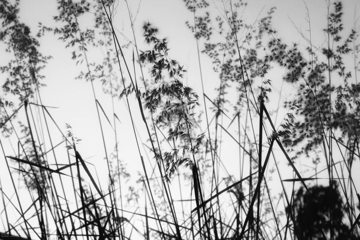 体制内工作做错了怎么办,体制内工作总是不被认可要离职吗