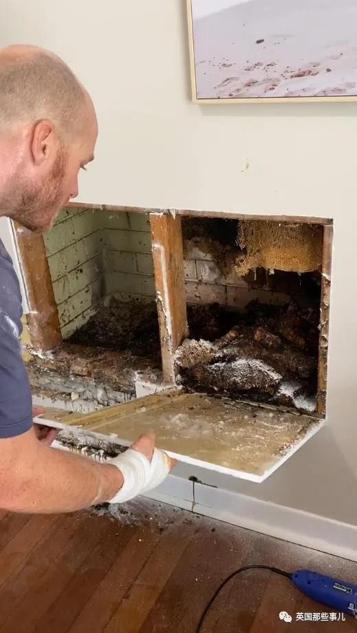 澳洲夫妇家墙壁突然莫名“渗血”!两人鼓起勇气拆开墙