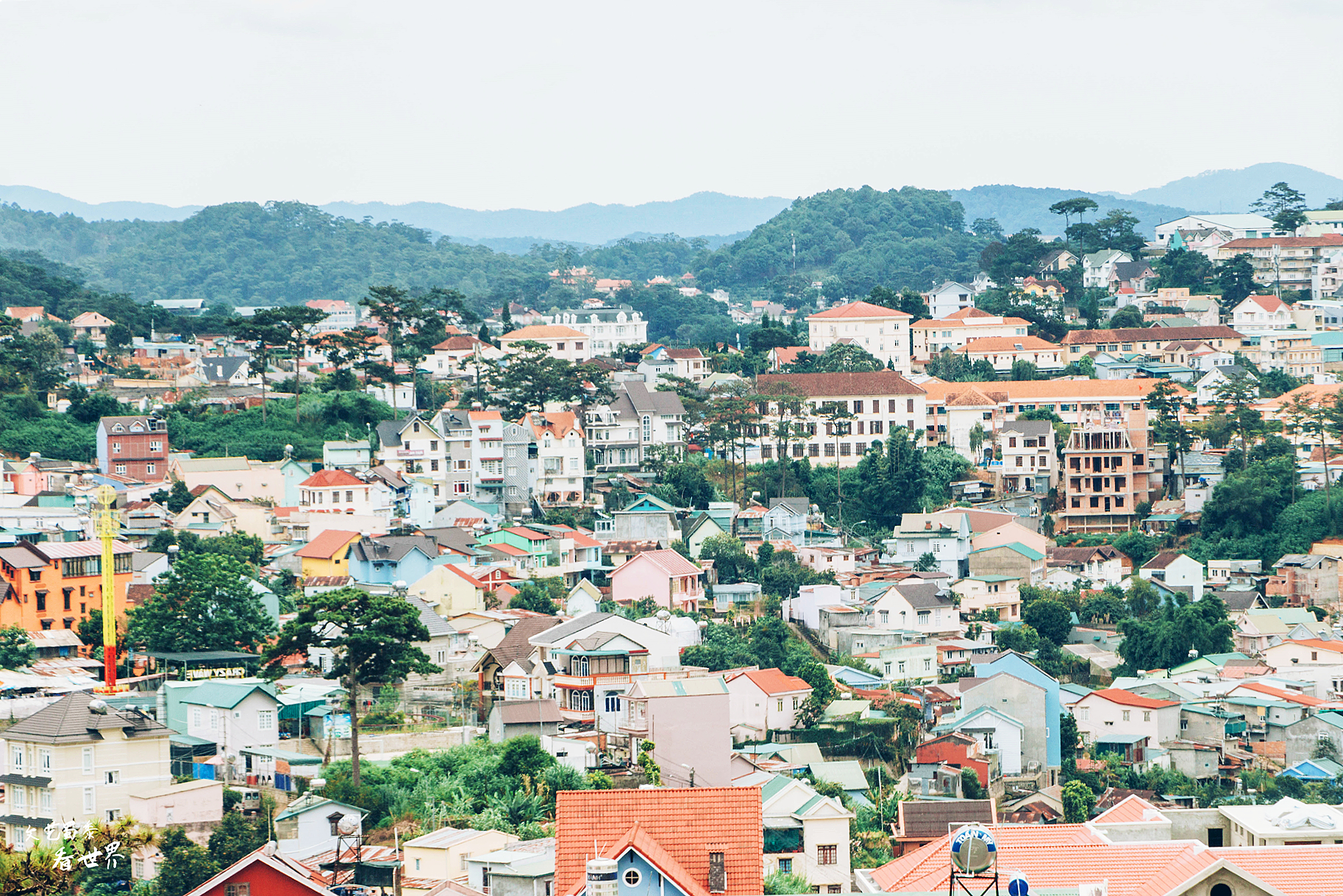 越南战争真的赢了吗,越南战胜中国队的反应