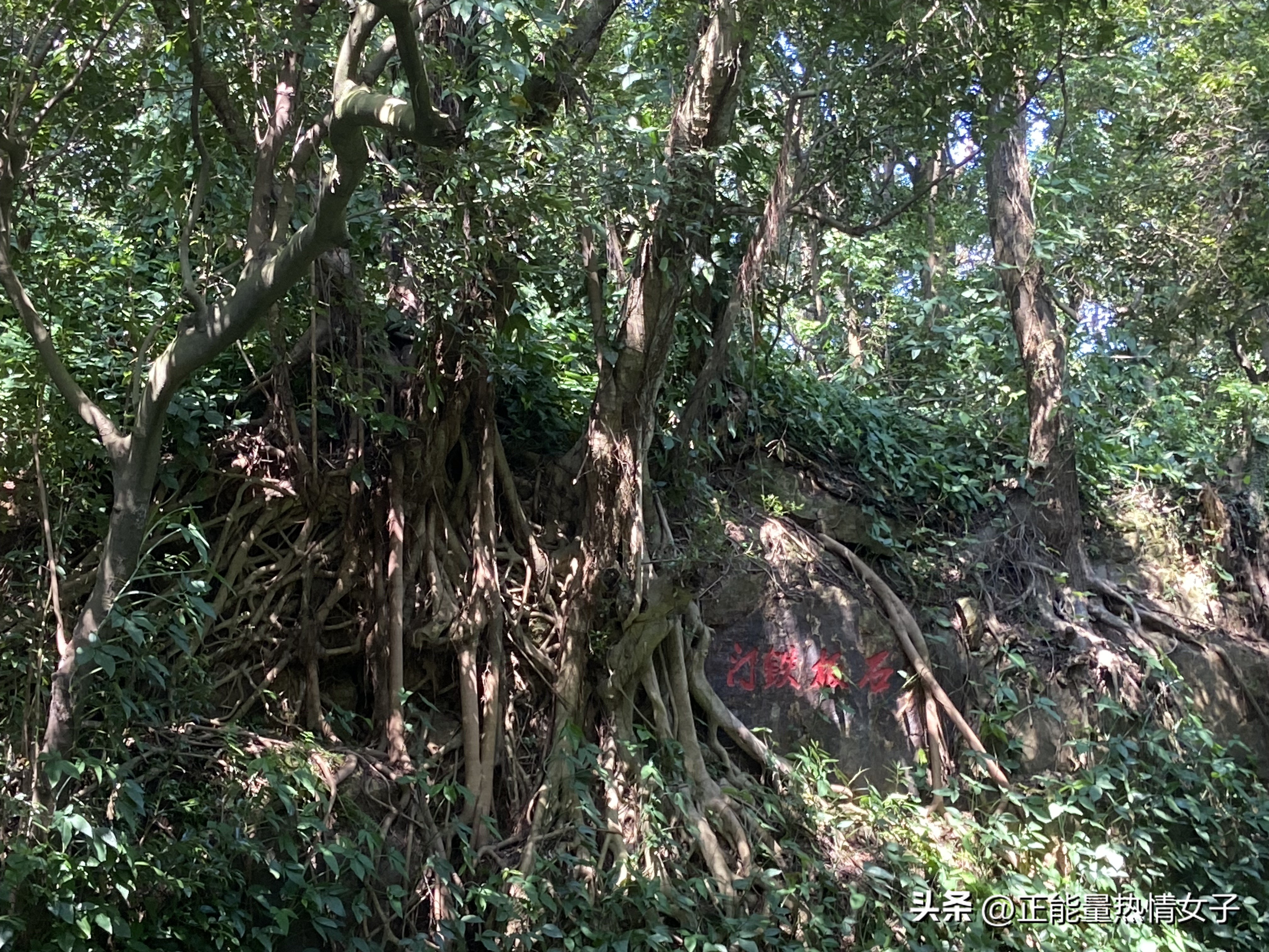 黄飞鸿故乡西樵,祖庙游玩攻略黄飞鸿