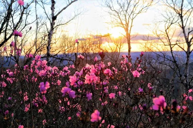 春节不可买哪些东西,春节买年货这些食品不要买