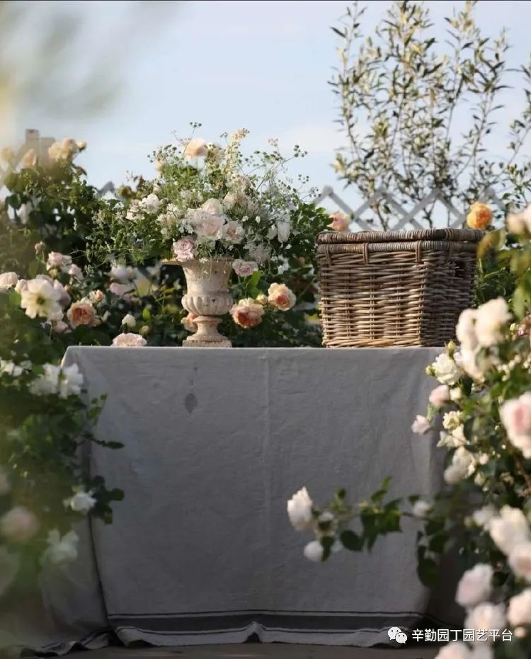 第八届园丁奖露台组《030号》洛基花园