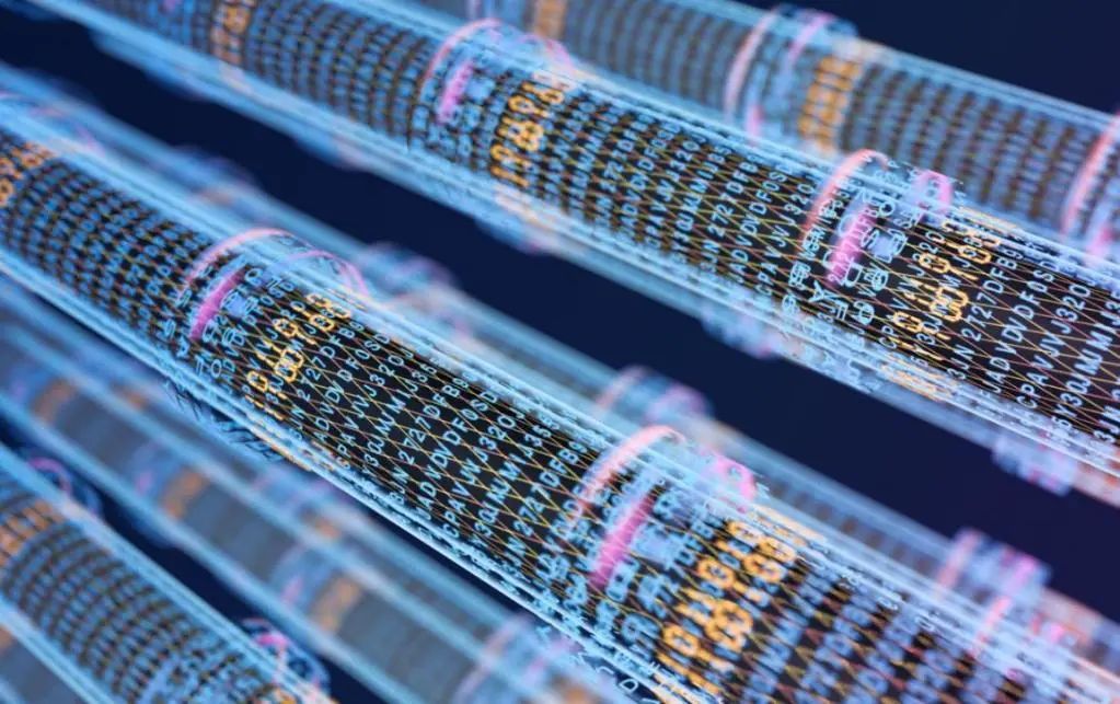 绉诲姩鐨刦ttr鎬庝箞缁勭綉,绉诲姩fttr缁勭綉鏁堟灉濡備綍