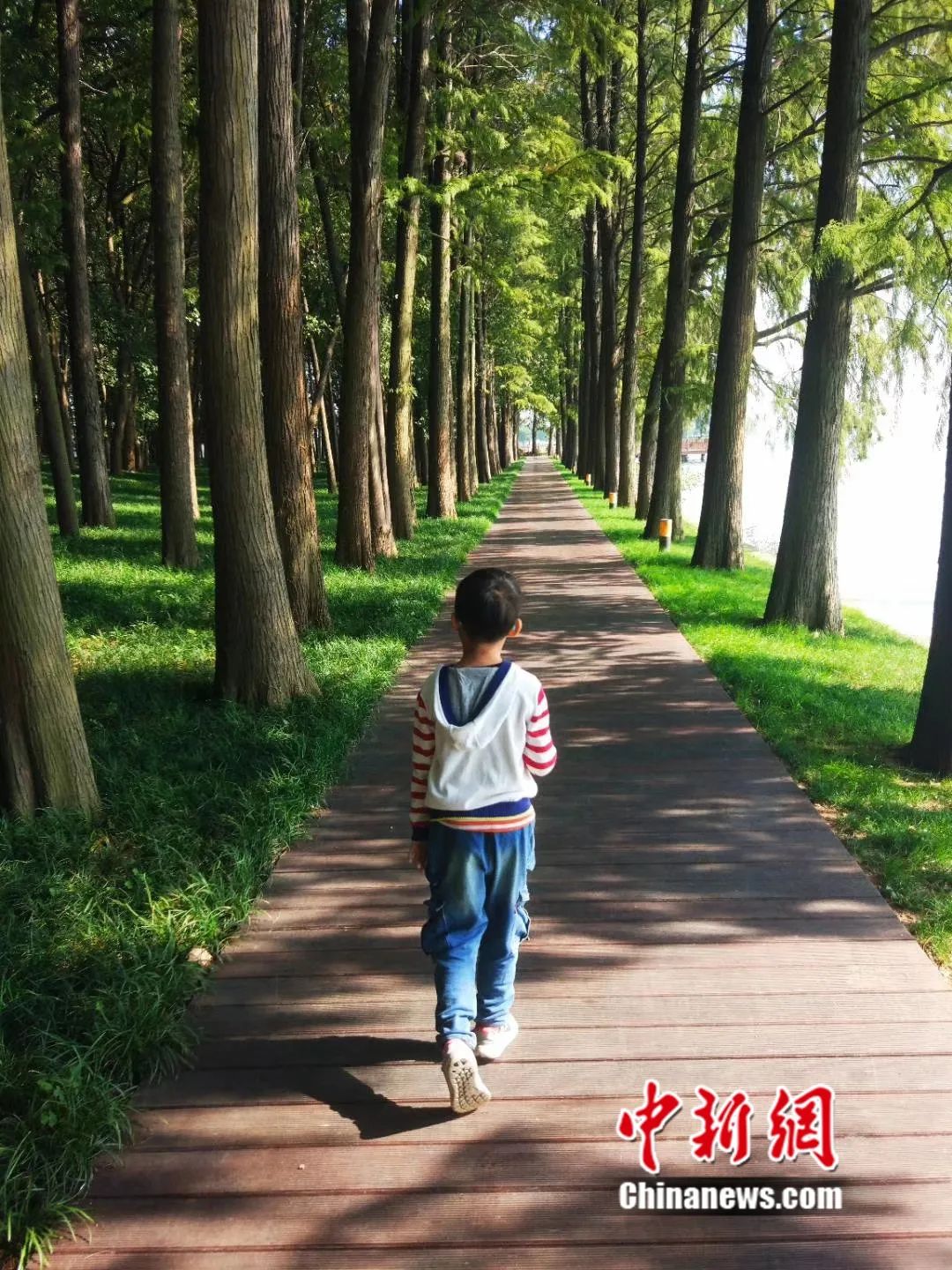 湖北的宝藏旅行地,宝藏湖北有多美