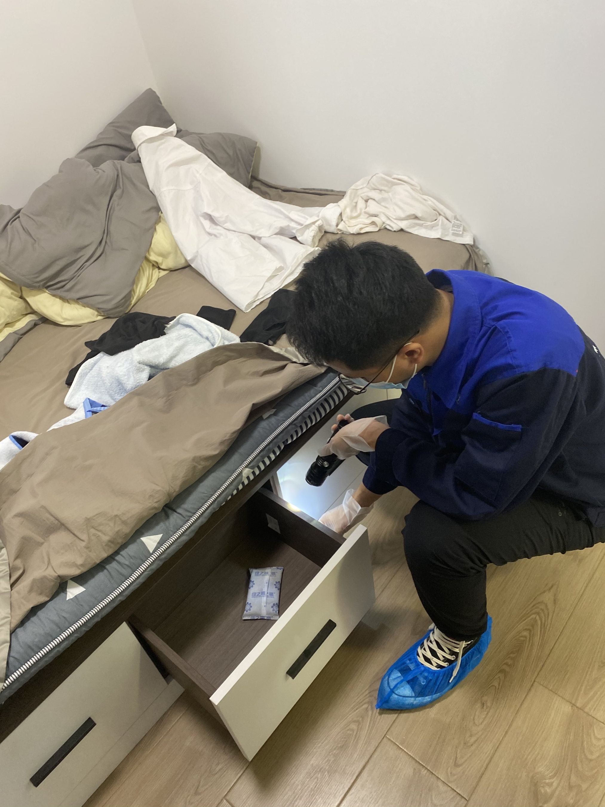 土豆灭蟑螂的配方,樟脑丸能灭蟑螂吗