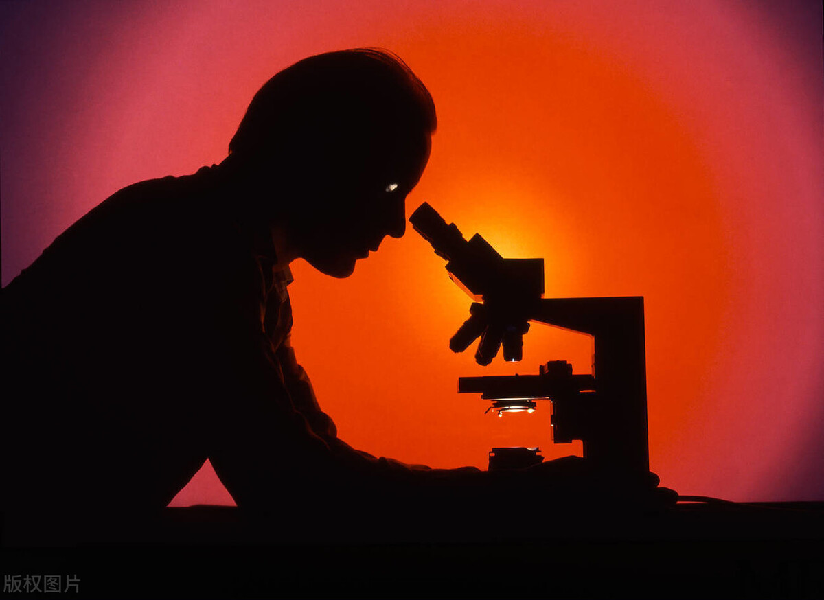 合同没有骑缝章被人篡改了怎么办,合同没有盖对方的骑缝章怎么办