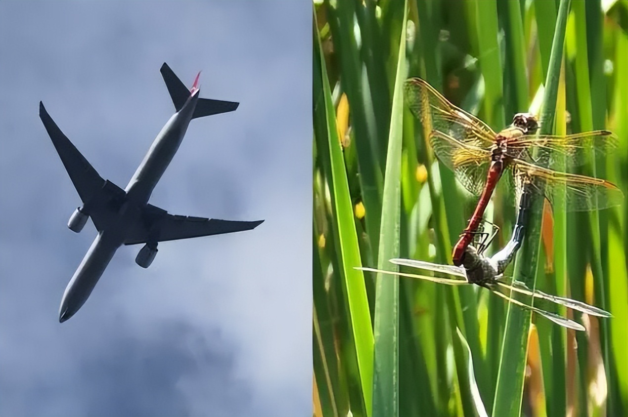 相机日常拍照最好买多大的摄像头,日常拍摄摄像头推荐