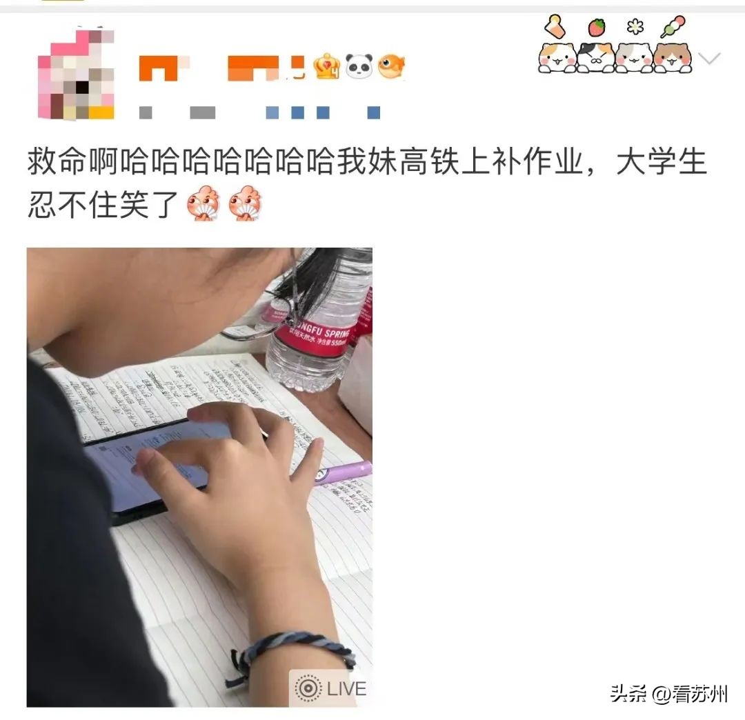 名场面父母辅导作业全程高能瞬间,名场面全国家长辅导作业