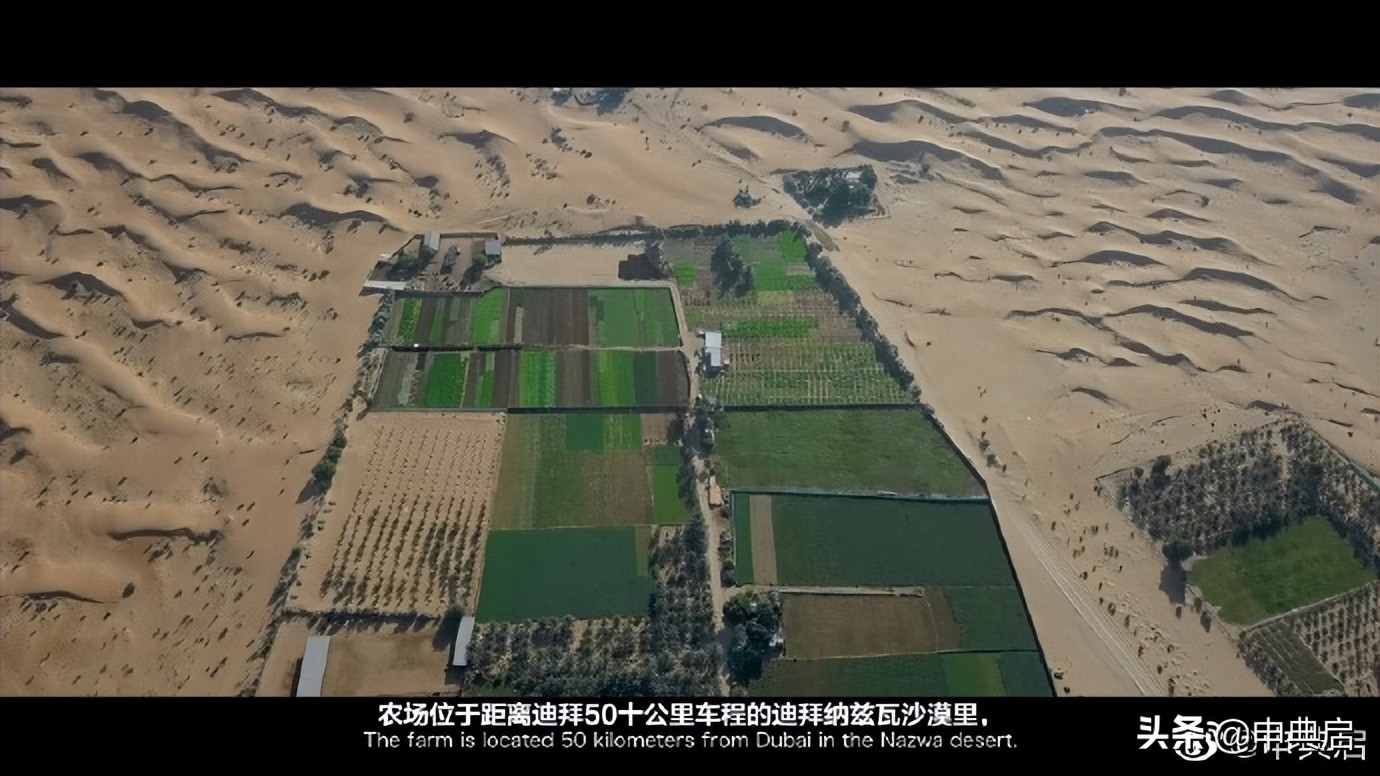 温州超市海外发展史：从杂货铺到大集团，中国人的勤劳、胆魄