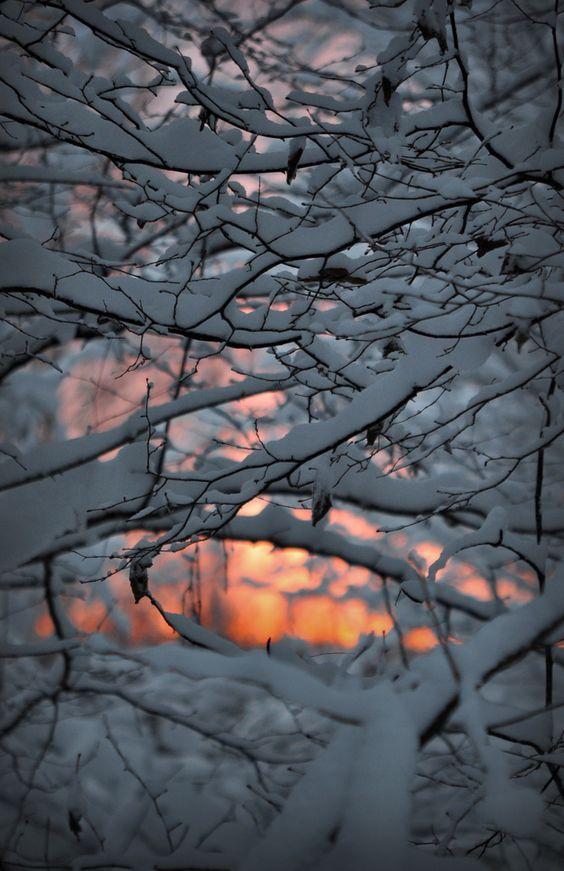雪落成诗岁月从容,雪落成诗岁月从容诵读