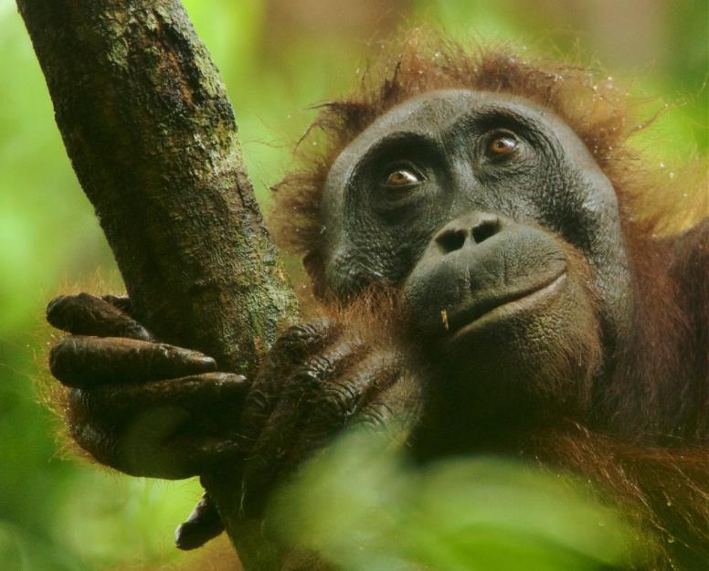 印度男子骑自行车去瑞典,印度男子跨越亚洲找爱情