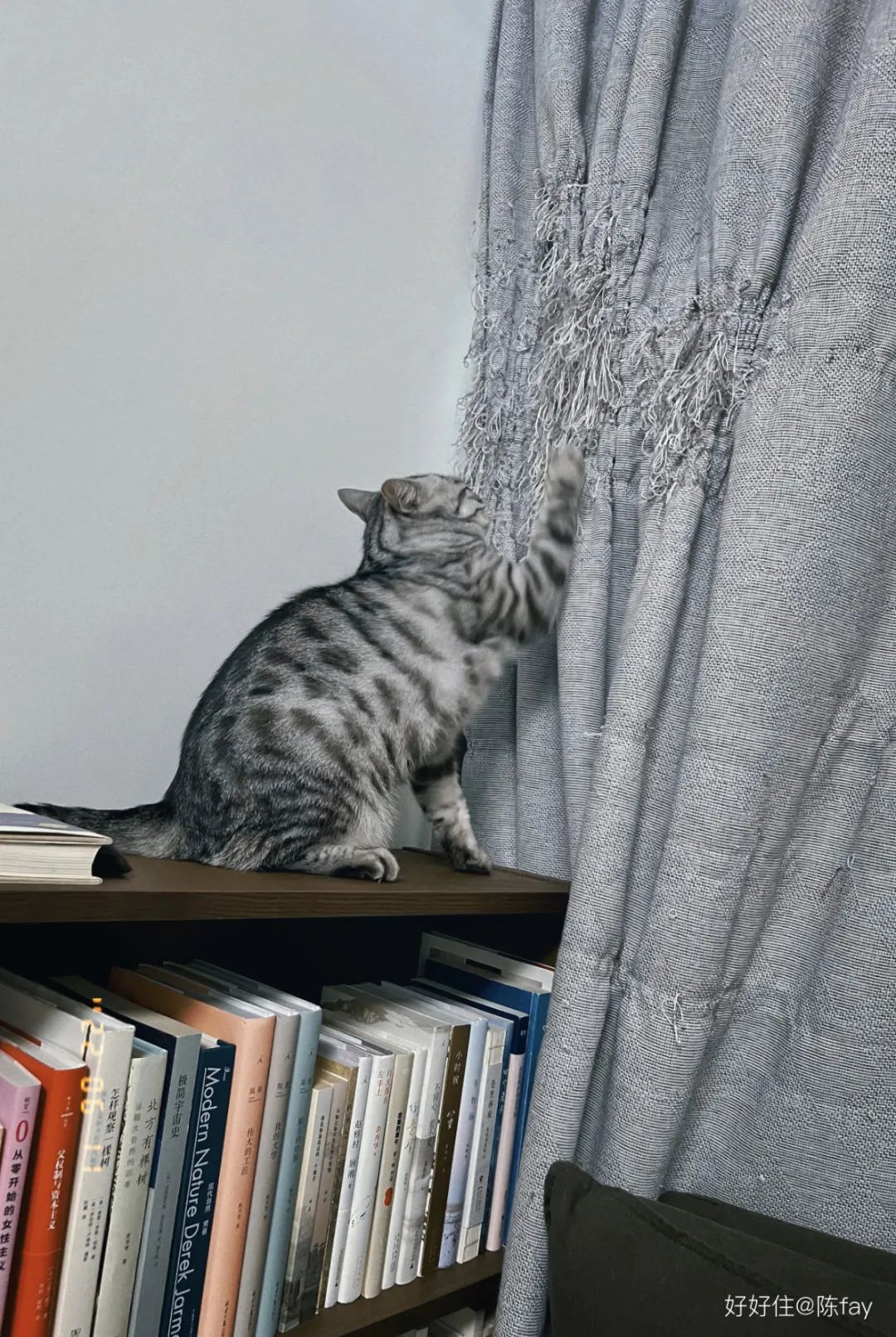 十大实用家居品必买,十大不建议购买的家居品牌