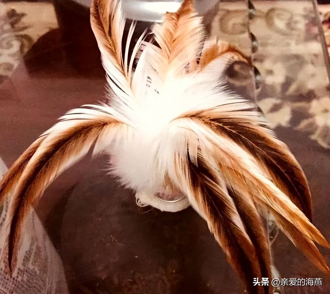 小班益智区自制玩具100例简单,如何给小孩自制不容易损坏的玩具