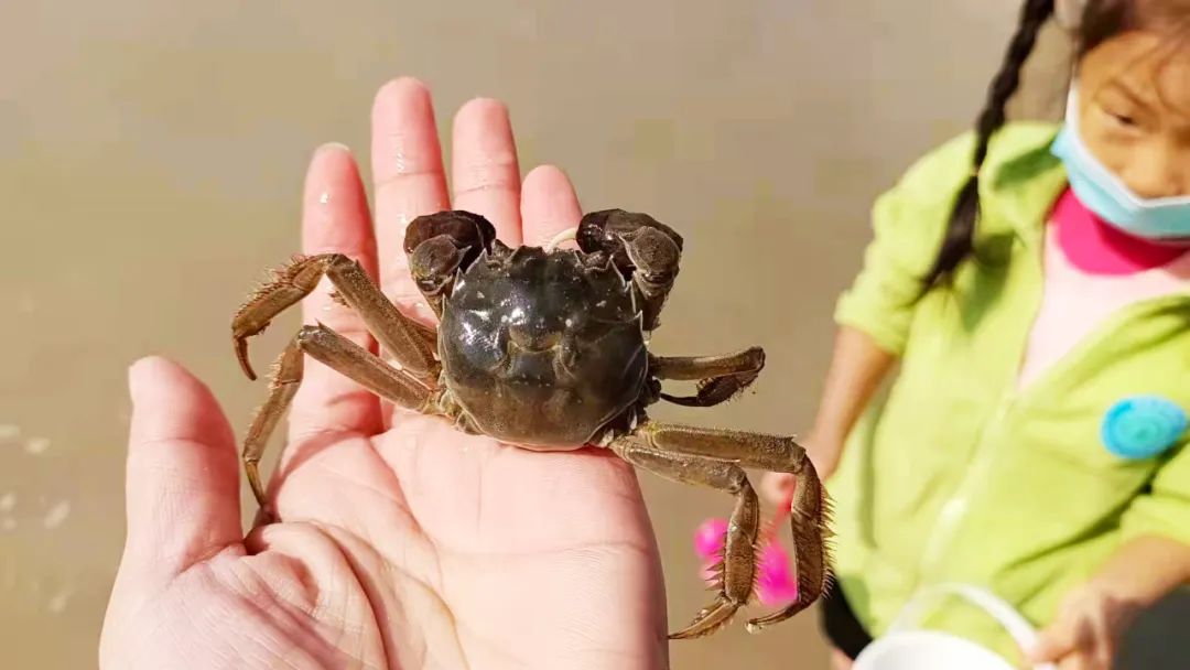 郑州雁鸣蟹岛,郑州雁鸣蟹岛怎么样