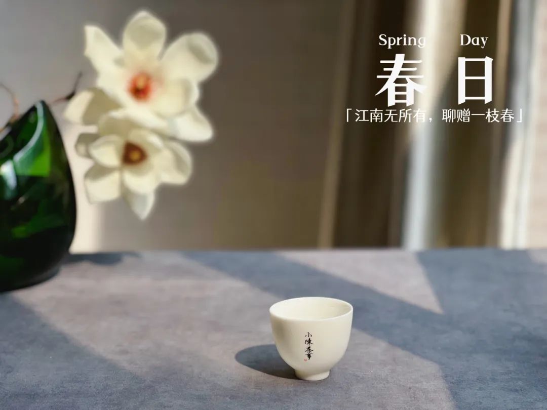 现在喝白茶的价目表,新手入门级白茶推荐