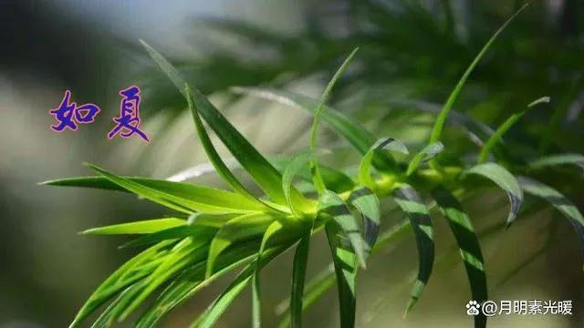 如何正确用好信用卡,怎样安全使用信用卡