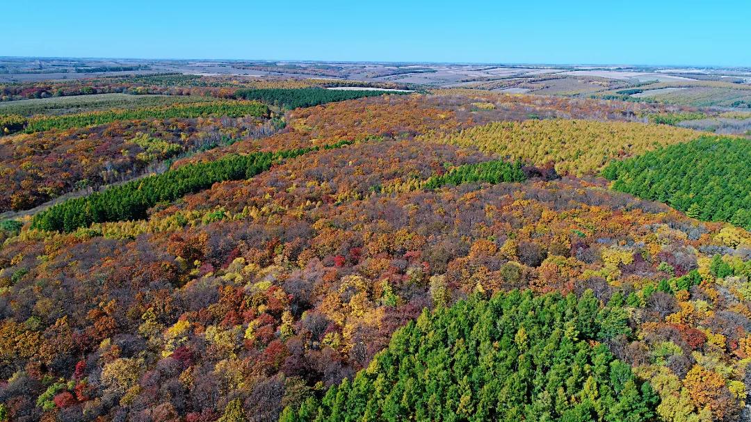拜登支持催生新产业,黑龙江省拜泉县发展规划