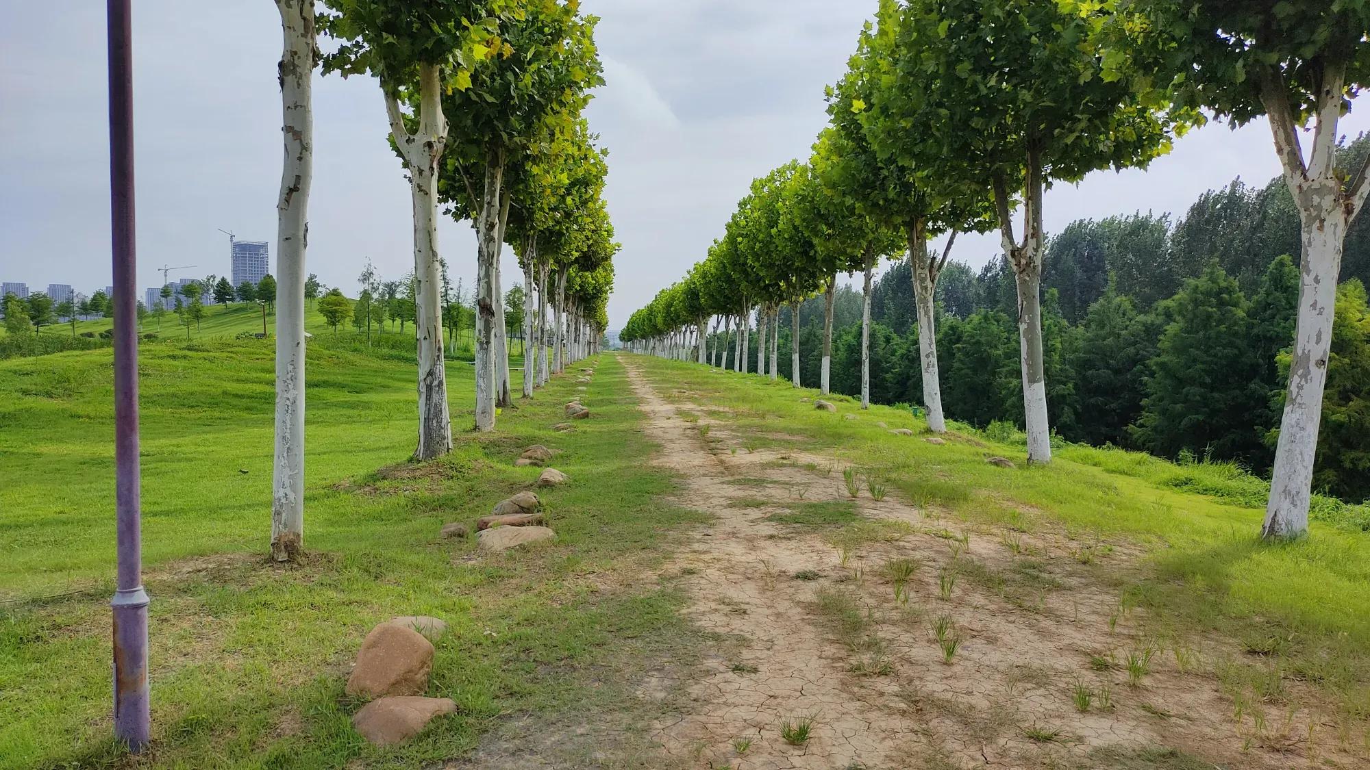 合肥旅游景点大全排名榜前十名,合肥市区旅游攻略必玩的景点