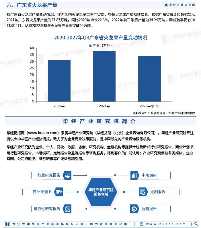 2023年火龙果行情,火龙果产量和市场现状调查