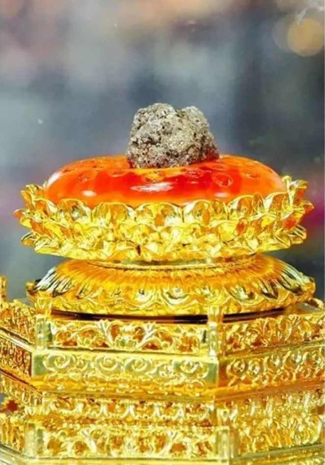 佛教为什么把舍利子叫做舍利子,探秘神秘的舍利子是怎么形成的