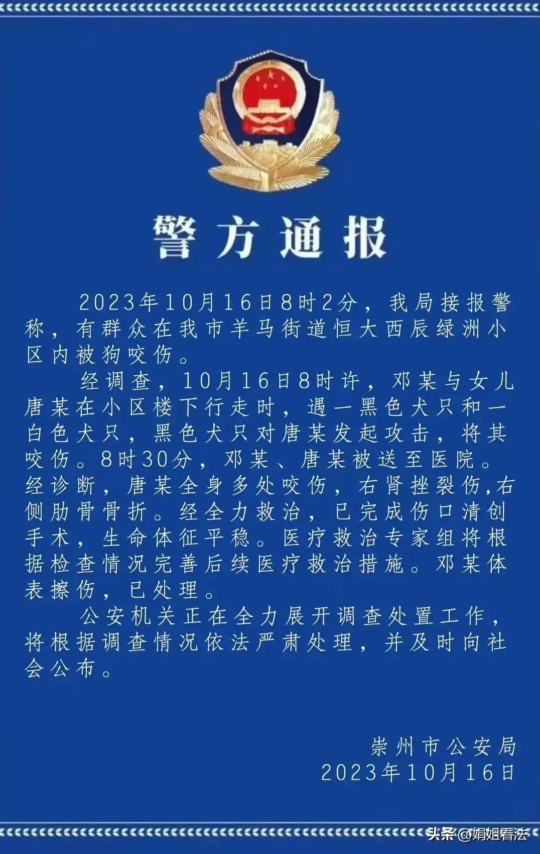 女童被狗撕咬伤情进展,女童被大狗撕咬伤情