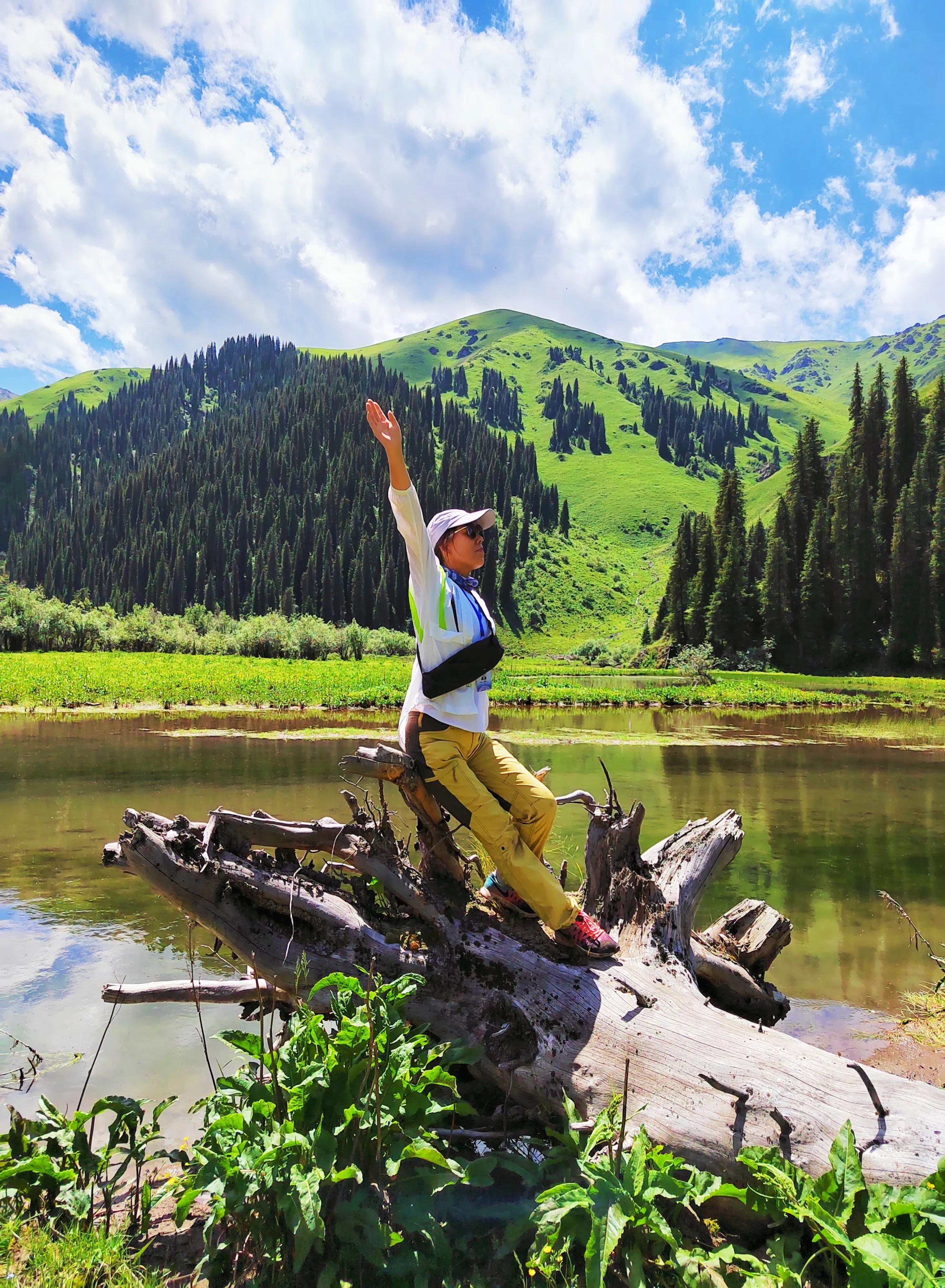 穿越森林探险视频,穿越森林探险之旅