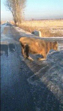 女友今年都二十三了，还是这样，是不是没救了哈哈哈好尴尬