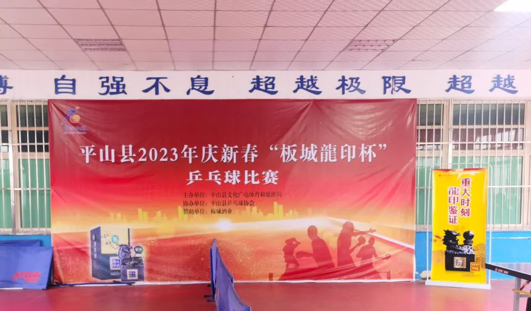 2024年平山县运动会,泌阳县第一届飞龙杯乒乓球比赛