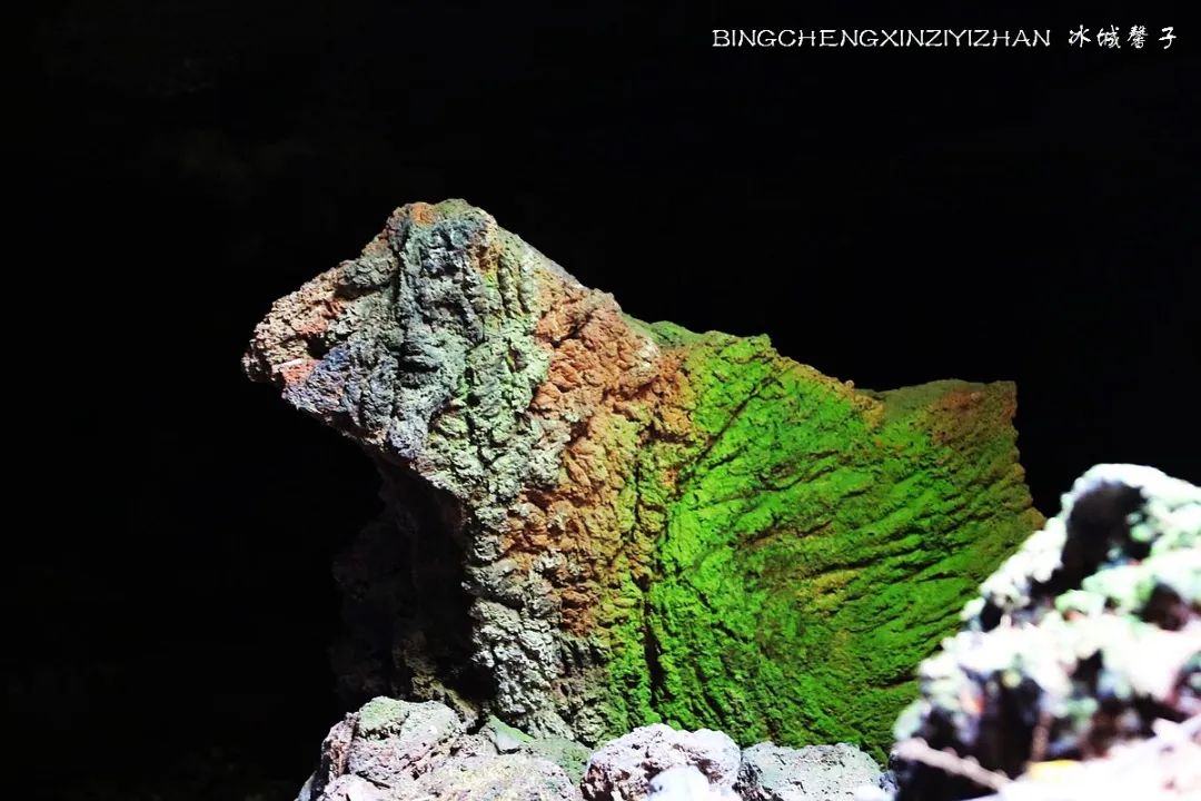 火山口国家森林公园与地下森林,清凉度夏探秘地下森林