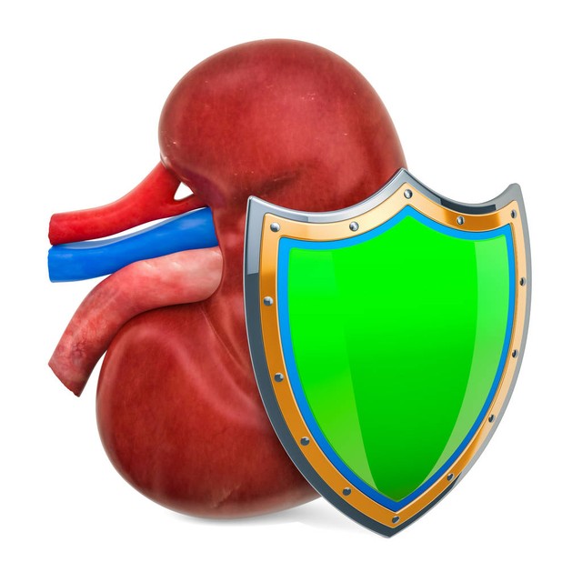 为什么肾炎多数是女性,为什么会造成肾炎