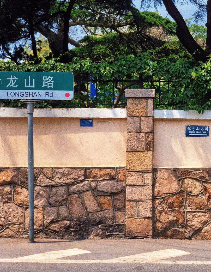 青岛绝美的一条路,青岛都是树的风景路