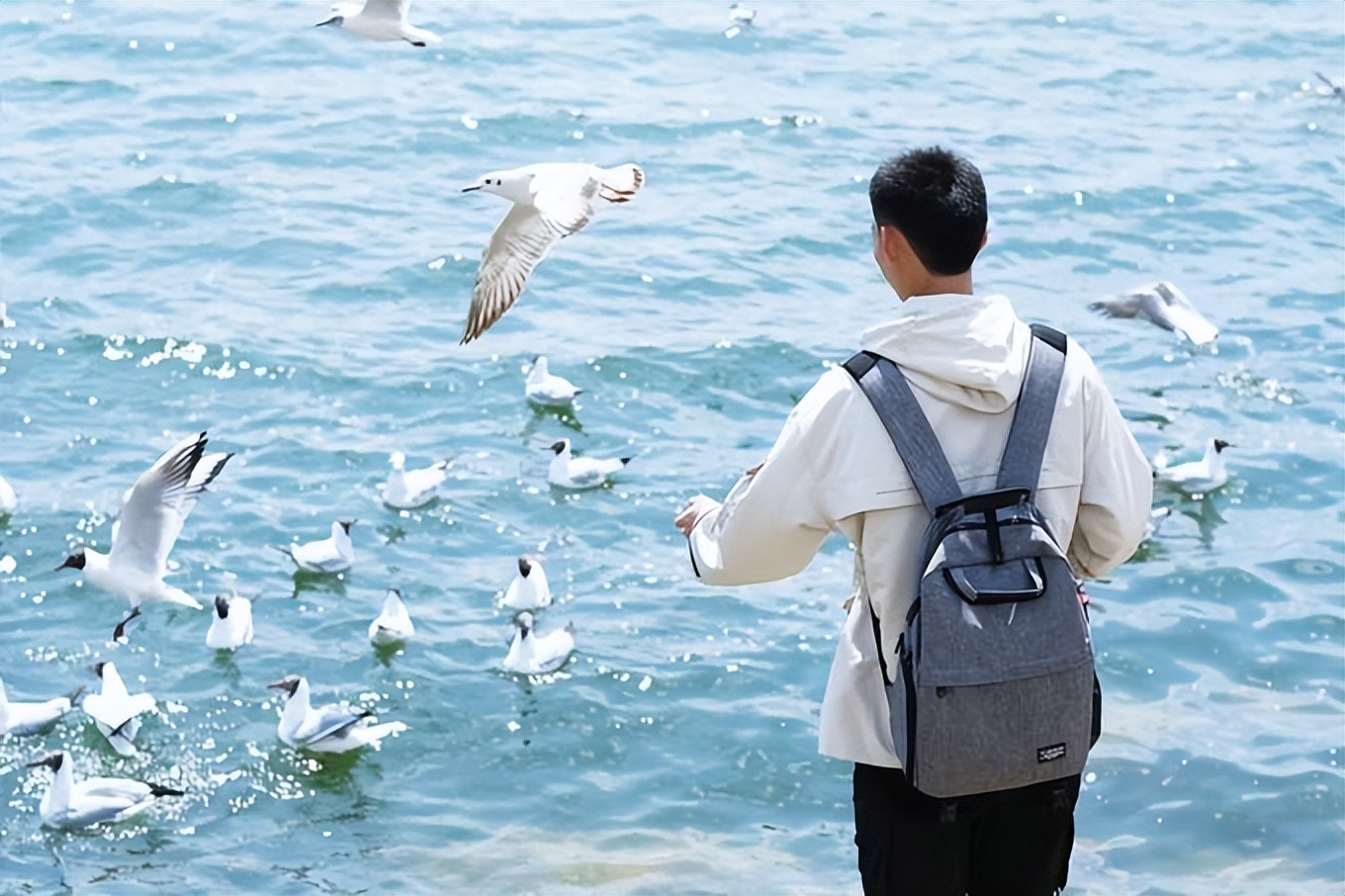 云南旅游攻略路线详细介绍,在云南旅游攻略详细路线推荐图