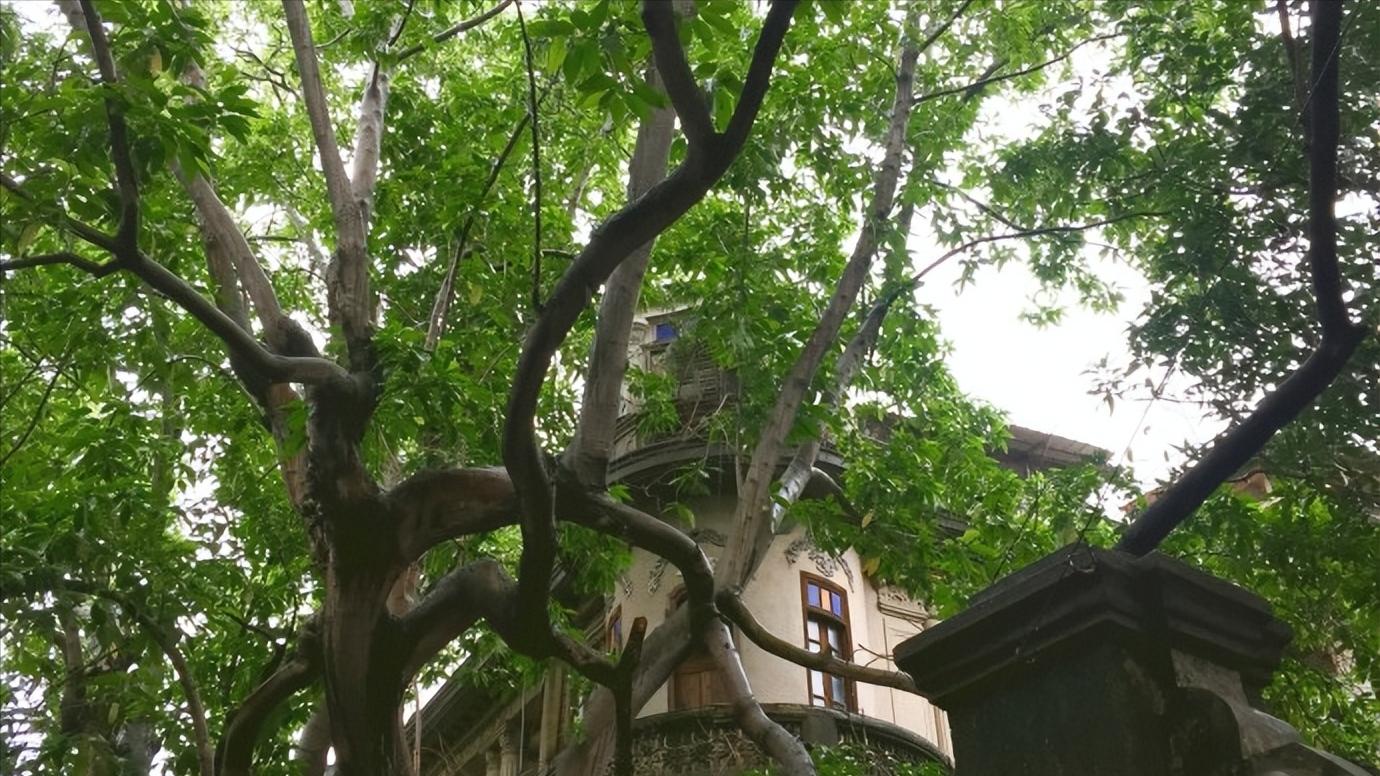 福建厦门市有哪些地区,中国34个省份之浙江篇