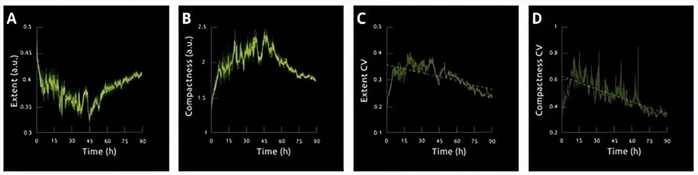 昆明纳瑞丨「Nanolive」在群体水平上描述单个细胞的特征