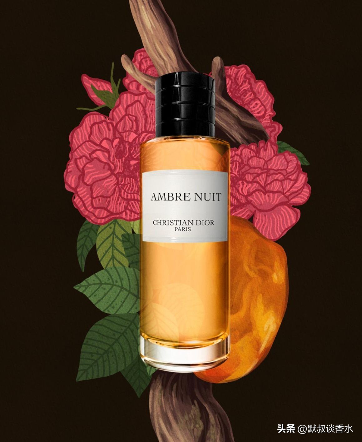 平凡寡淡的线性香水丨迪奥典藏系列琥珀幽香