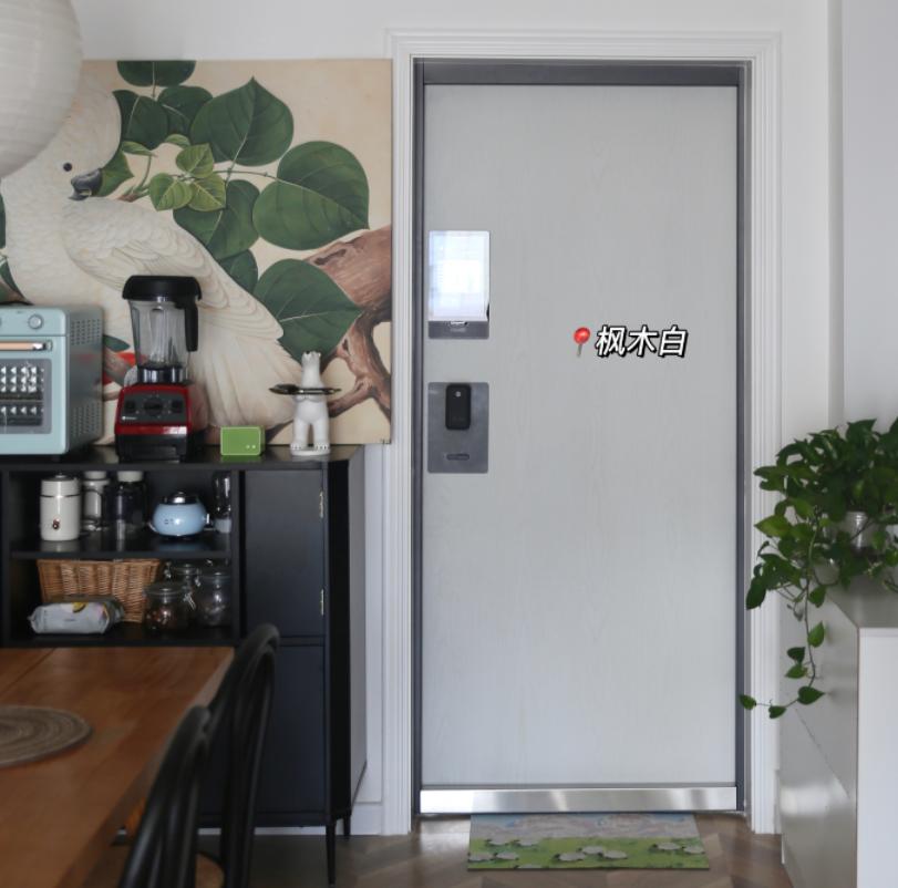 防盗门入户门锁哪种好,怎么选入户智能防盗门
