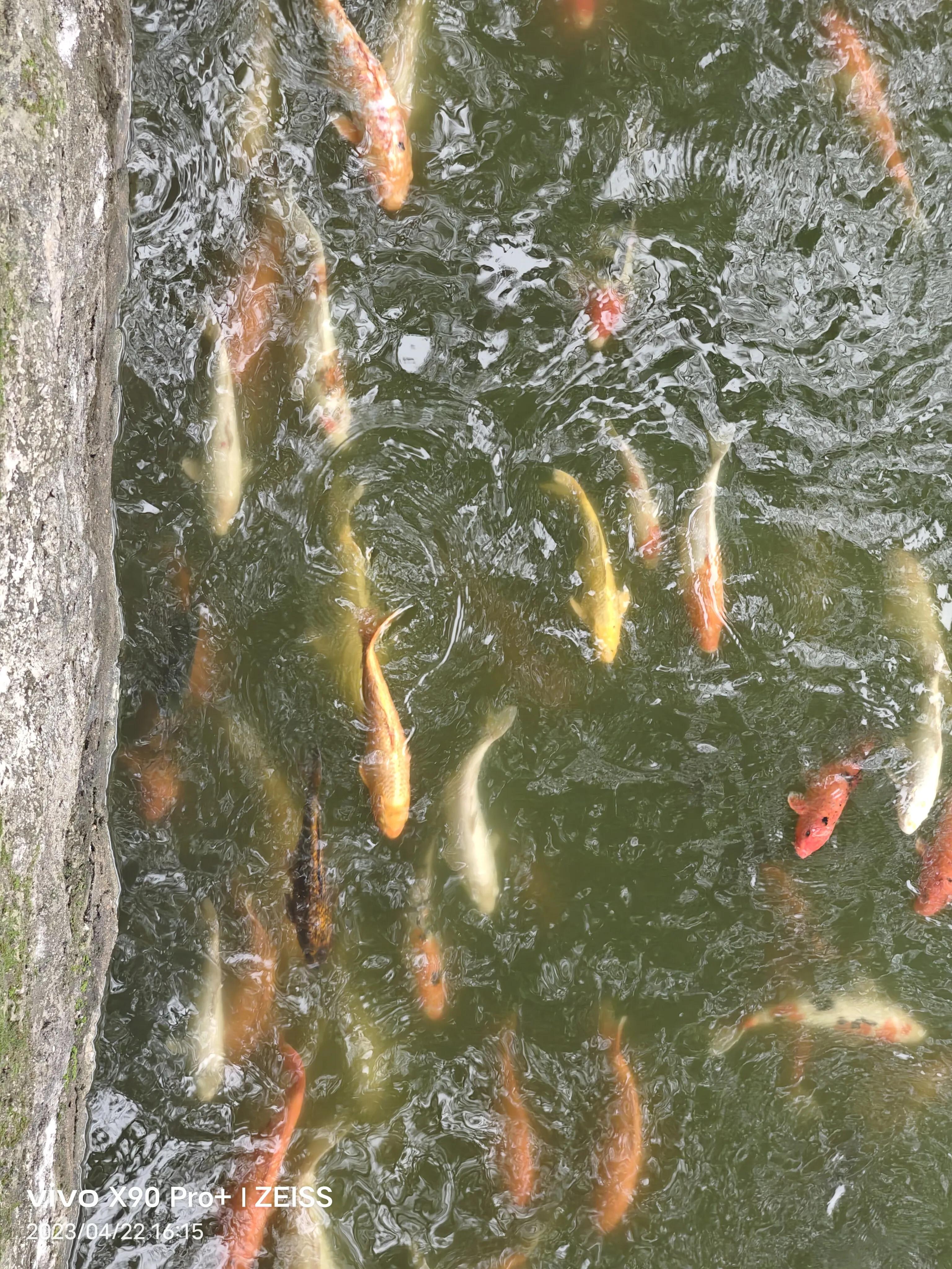 网络流行语汇总,目前最热的网络流行语