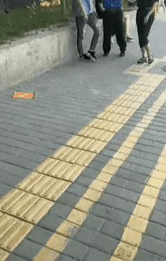 大快人心的事件,陕西打人事件处理结果