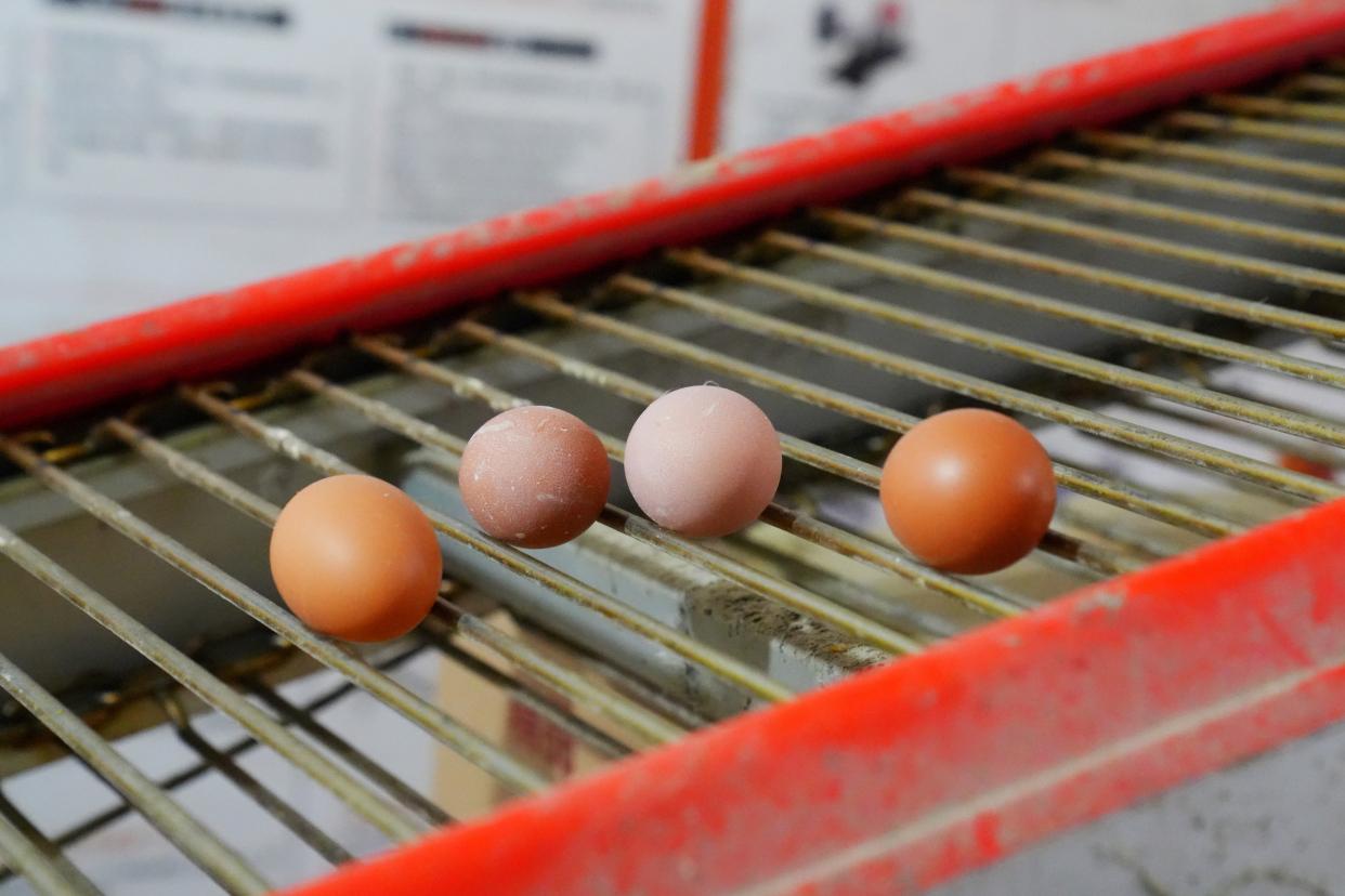 建德刀笃菜,倒笃菜是建德非遗吗