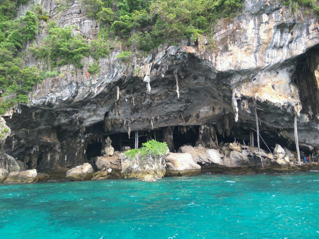 泰国燕窝值钱吗,泰国金丝燕窝多少钱一个