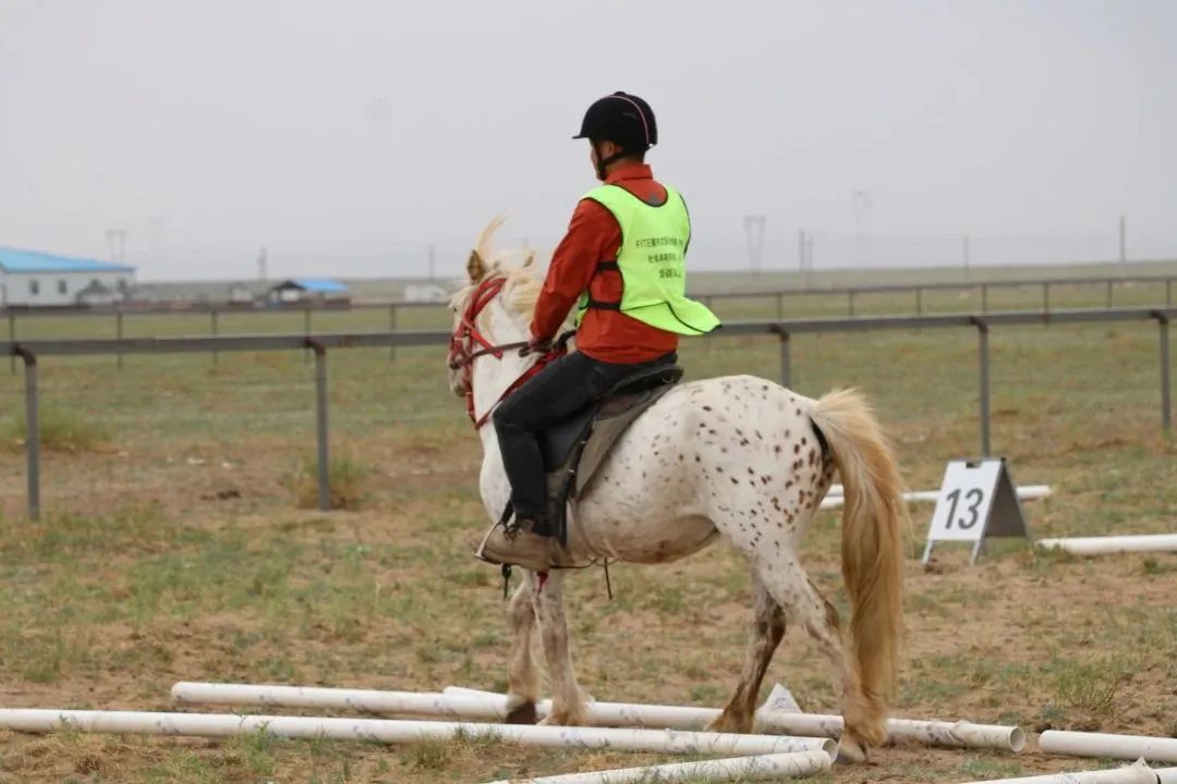 马术从业者都需要什么证书,马术持证上岗