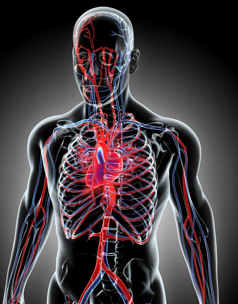 脑供血不足，常常头痛眩晕耳鸣，这3药从多角度出发从根源上改善