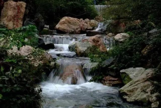 夏季河南最大的天然氧吧,河南40块门票最值的景区