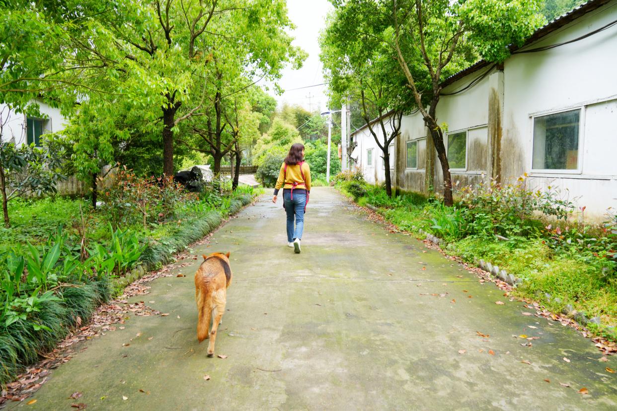 建德古村落美食有哪些特色,杭州的建德菜有什么特色