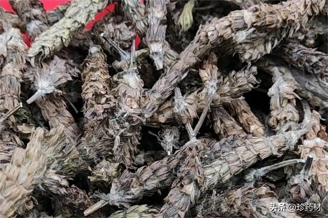 10月10日中药材市场快讯：白及、栀子、夏枯球、枳壳、地龙、八角