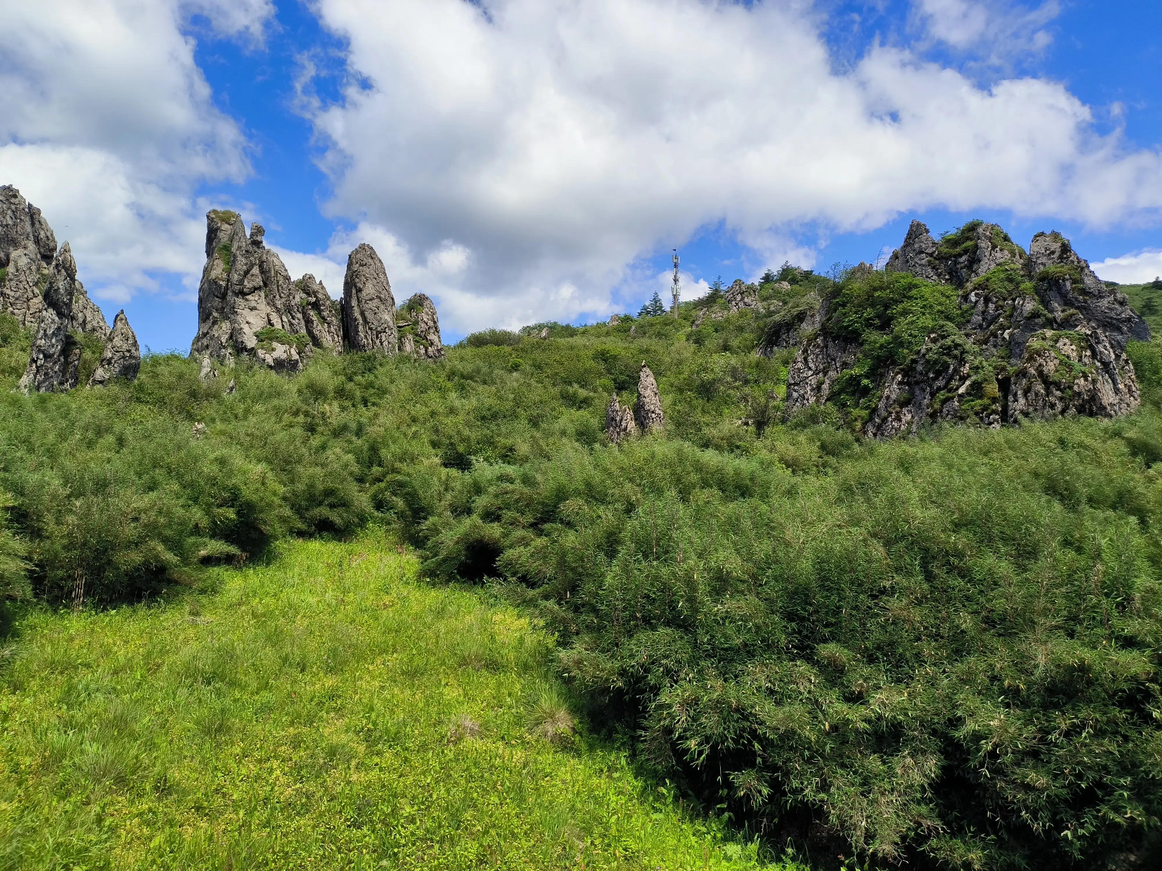 武汉到神农架高铁开通了吗,武汉到神农架汽车多长时间