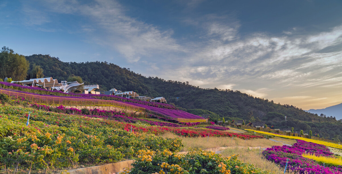 成都春天超美的地方,成都现在风景最美的地方