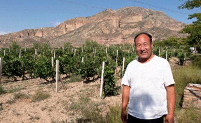 赵薇法国葡萄庄园,赵薇法国红酒庄价格